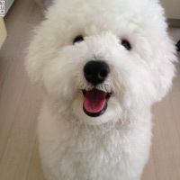 もこくん