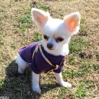 まりんちゃん