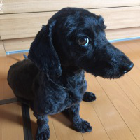 岳くん
