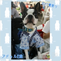 アドゥルくん