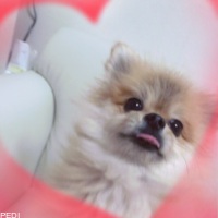 ししまるくん
