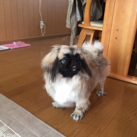 そらちゃん