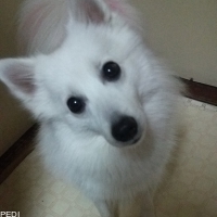 空ちゃん