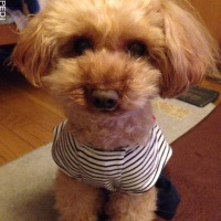 ラッキーくん