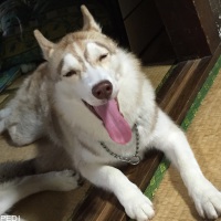 ミントちゃん