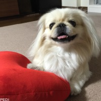 メイちゃん