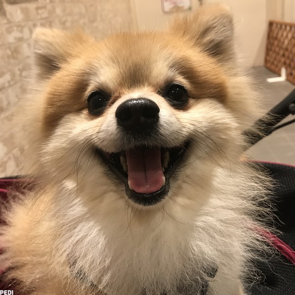 Louisくん