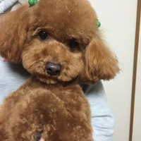 ムクくん