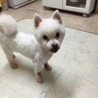まりんちゃん