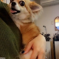 ダリくん