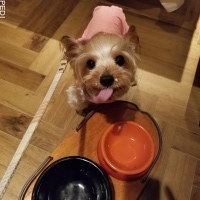 めいちゃん