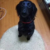 貫名ちゃん
