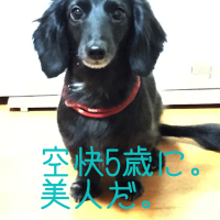 びぢんでかわいい空快ちゃん