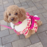 こころちゃん