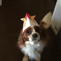 蓮くん