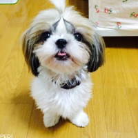 千乃ちゃん