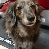 蘭ちゃん