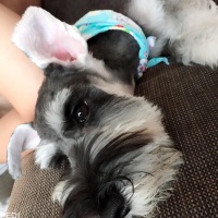 蘭丸くん