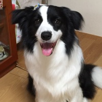 雅生くん