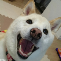 さっちゃん