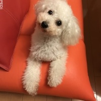 ジェイくん