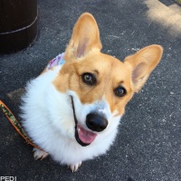 花子ちゃん