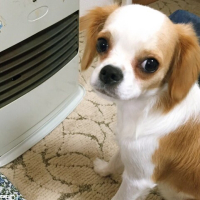 そらくん