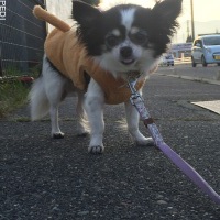 リズナちゃん