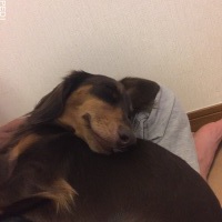 コナンくん