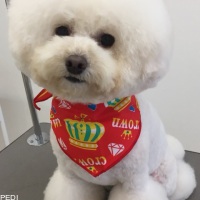 コロンちゃん