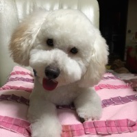 レオちゃん