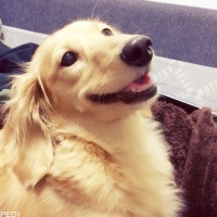さちこちゃん