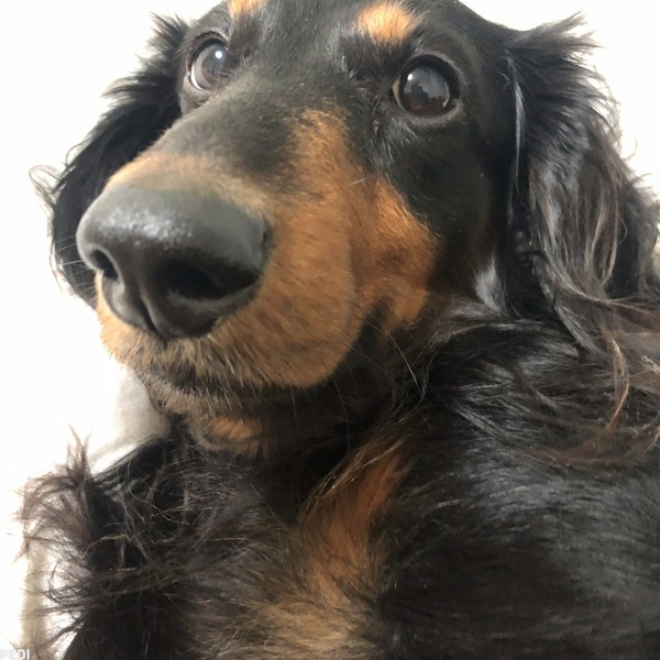 龍之介くん