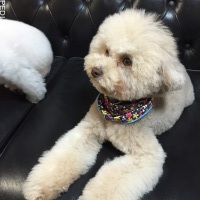chloeくん