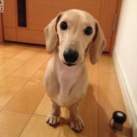 ぎゅんたくん
