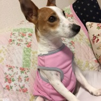 ケリーちゃん