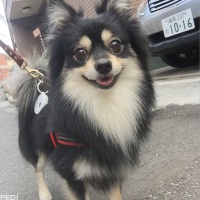クロムくん