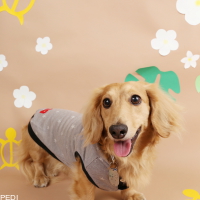 春日くん