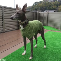 ぼんくん