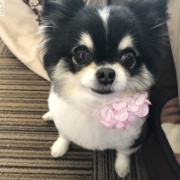 くうちゃん