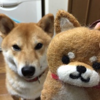 リクくん