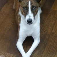ジミーくん