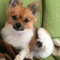 臣くん