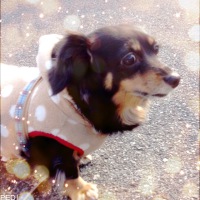 りりんちゃん