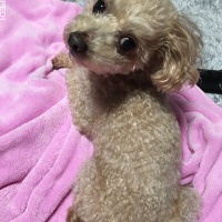 くーくん