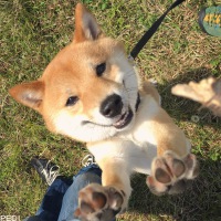 小太郎くん