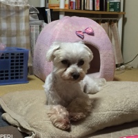 そらくん