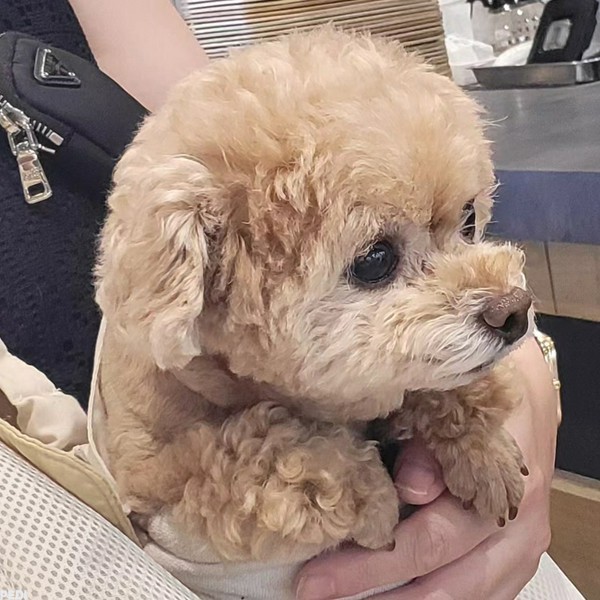 ゆーのすけくん