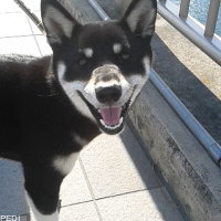 くぅちゃん