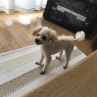 そらくん